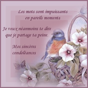 [Image: 3b7a969d.jpg]