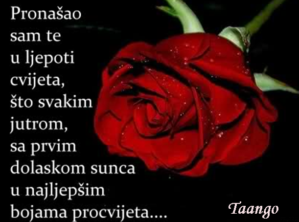 Snimka-zaslona-2026-02-07-221836