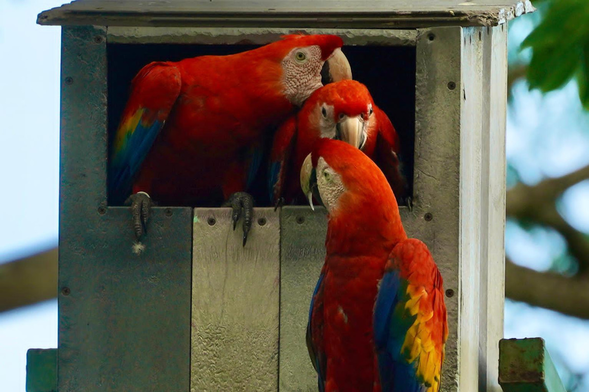 A6CF1382-2720-4828-B201-4443ACDE2E6C