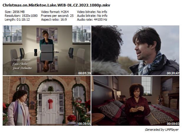 Vánoce u jezera / Christmas on Mistletoe Lake (2022)