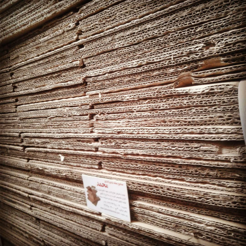 carton-mohammad (195)