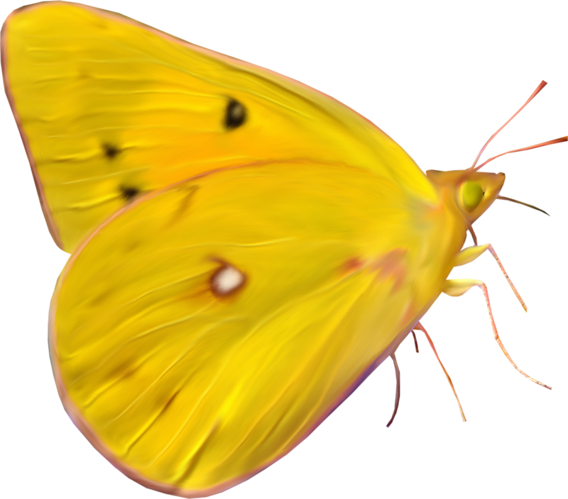 0_1c1185_b62e5451_orig