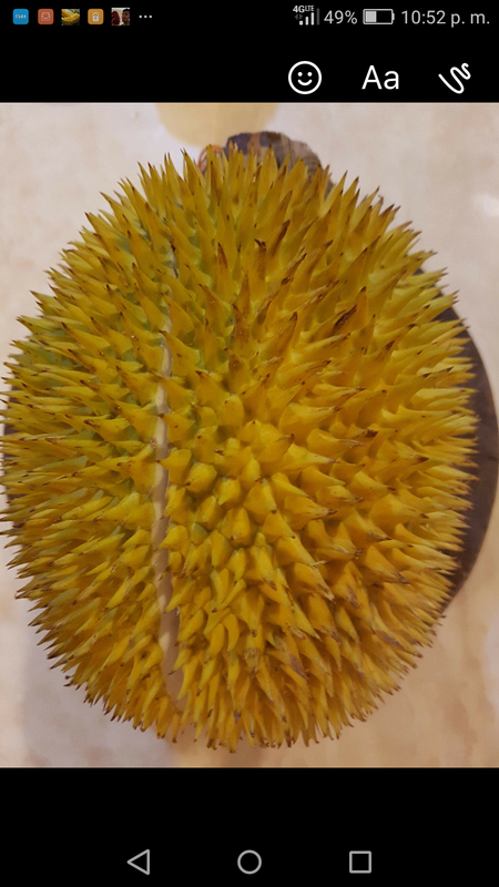 Screenshot_2017-12-31-22-52-47