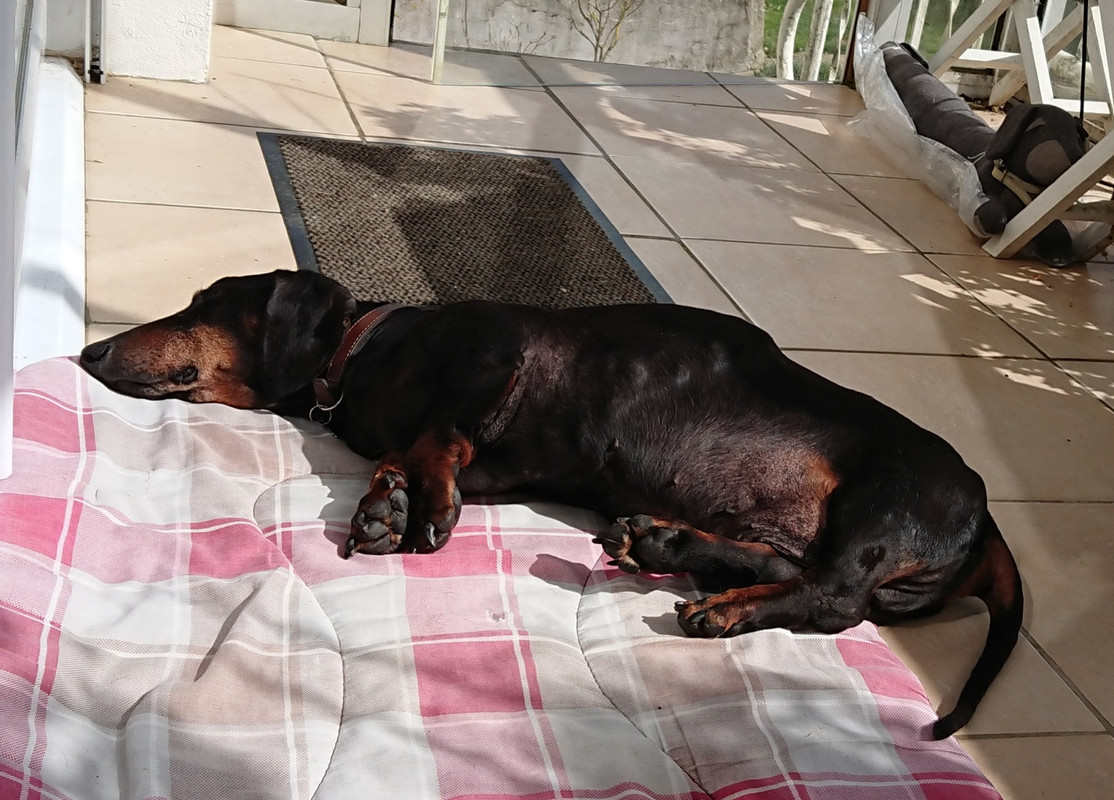 [Image: 20230413-121016.jpg]