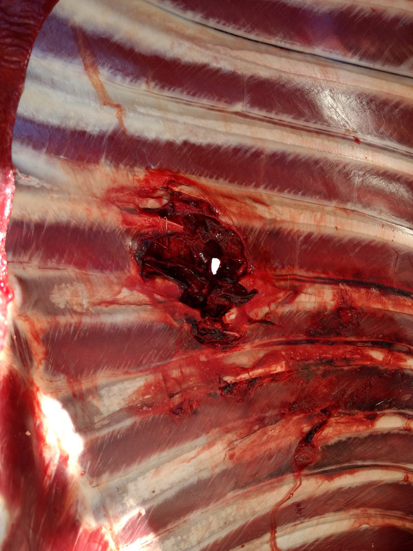 IMG_20181022_120629021