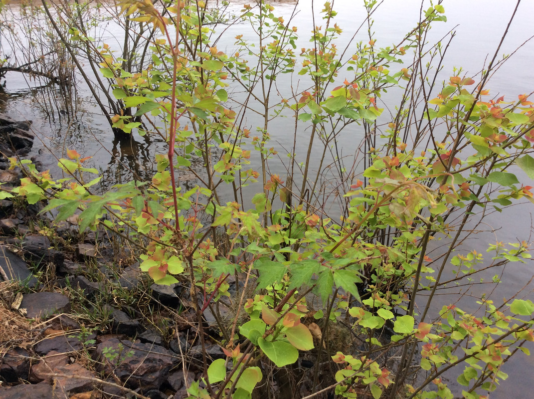 CDCBACAC-61BF-4656-83EE-EF48E9321CD2