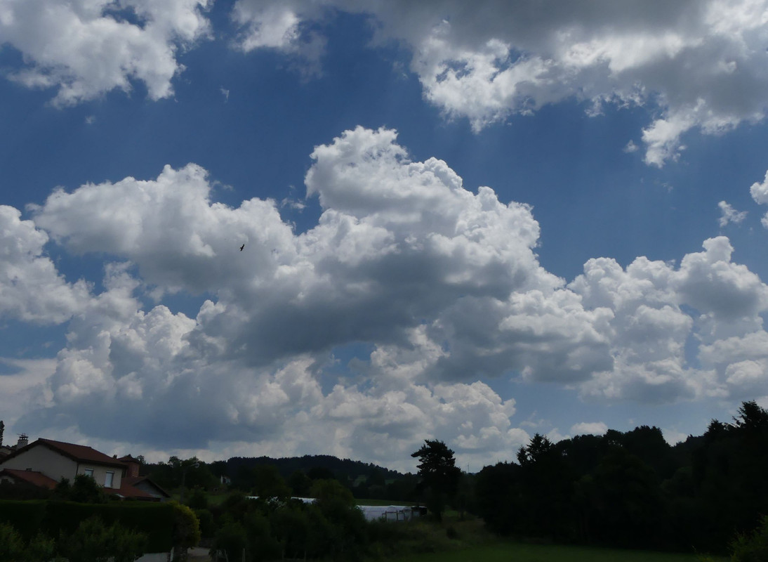P1100554.jpg