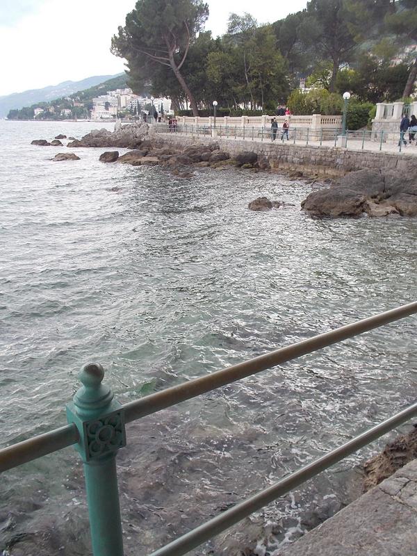 Slika