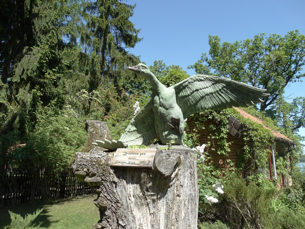 12a - DSC03857 (Czesio1)