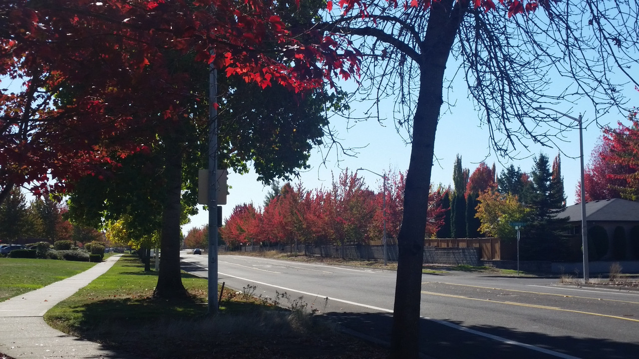 [Image: 20181016-122726.jpg]