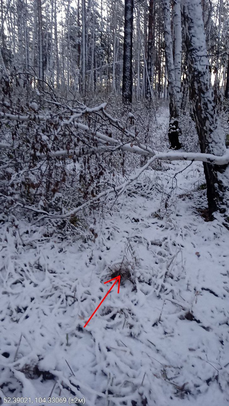 IMG_20251008_170449_216