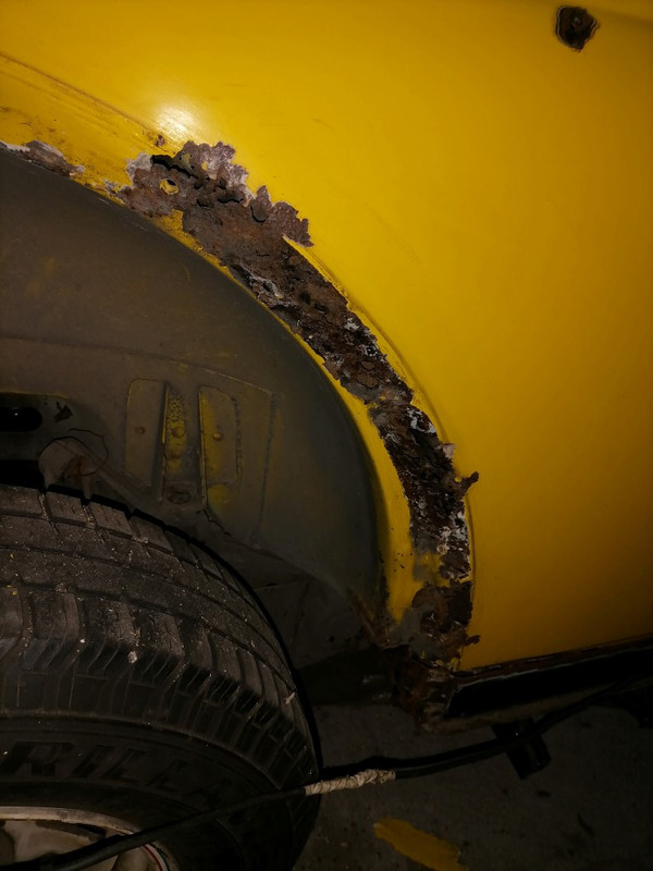 IMG_20210322_104036 (Medium)