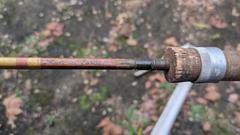 PXL 20251028 212508739