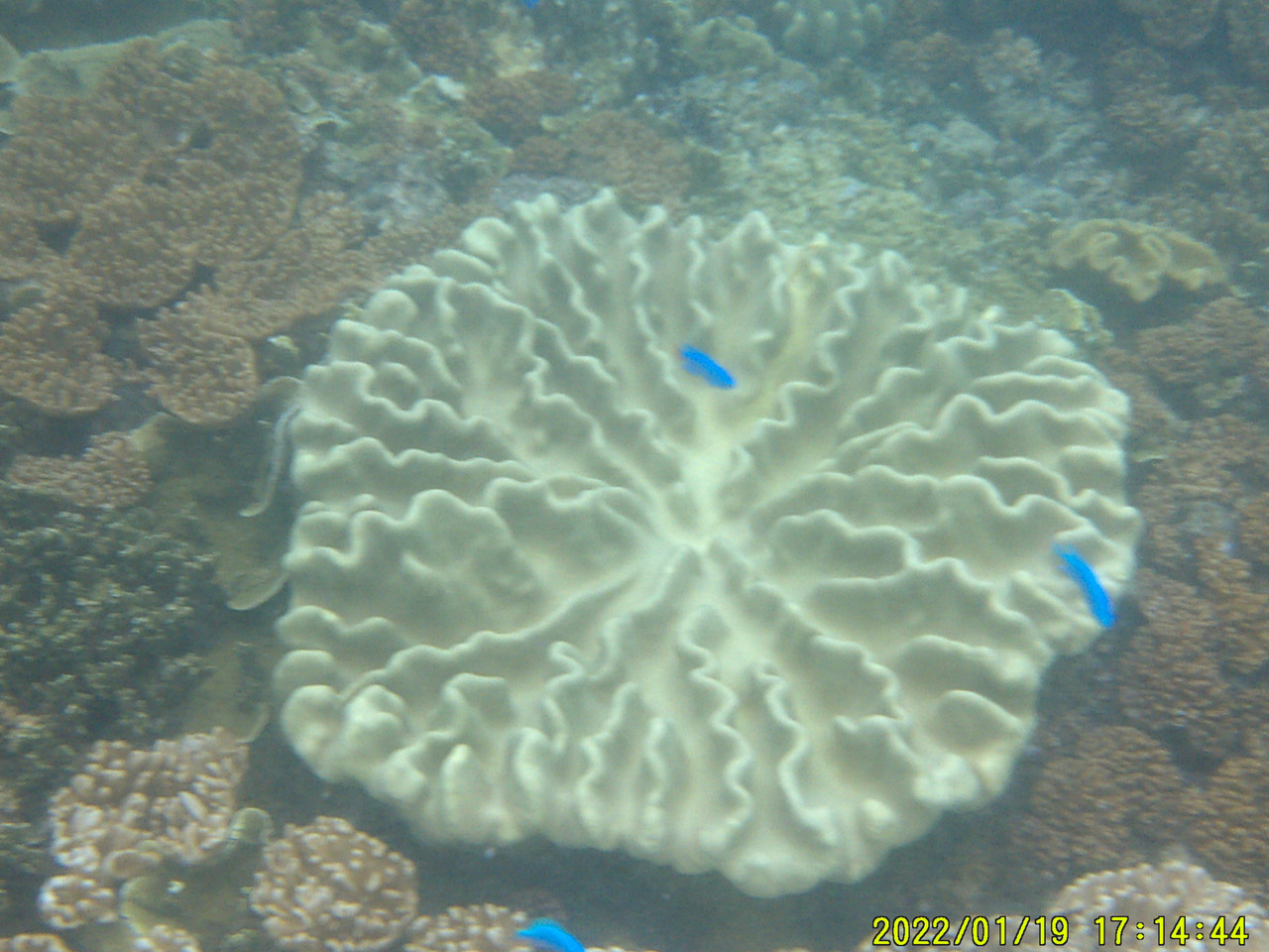 DSCF0027