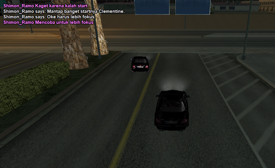 srs2.png