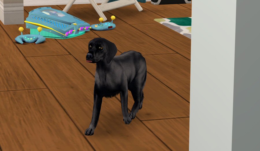 Sims2-EP9-RPC-2021-03-29-23-04-18-87