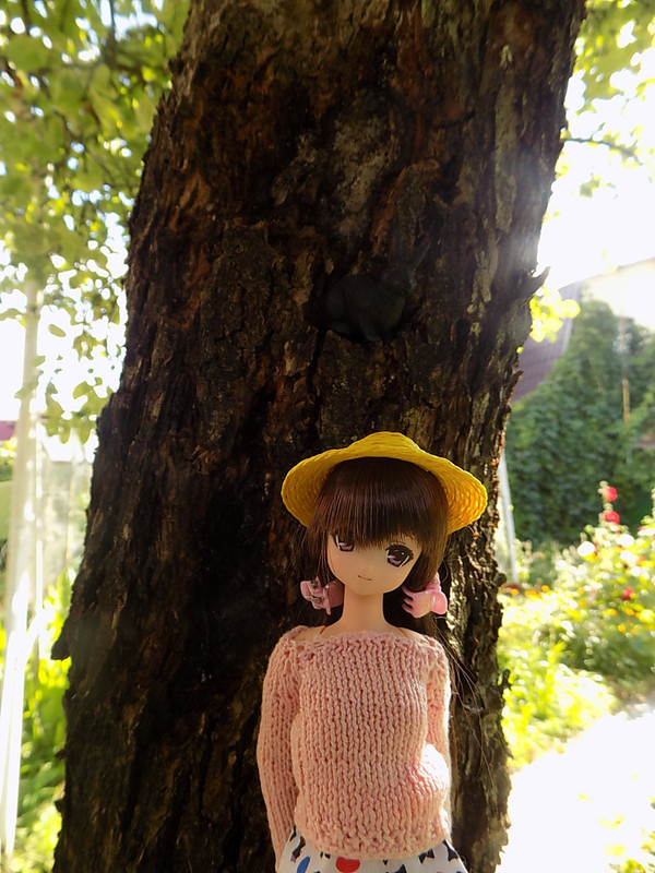 Дачное июль 2016 137