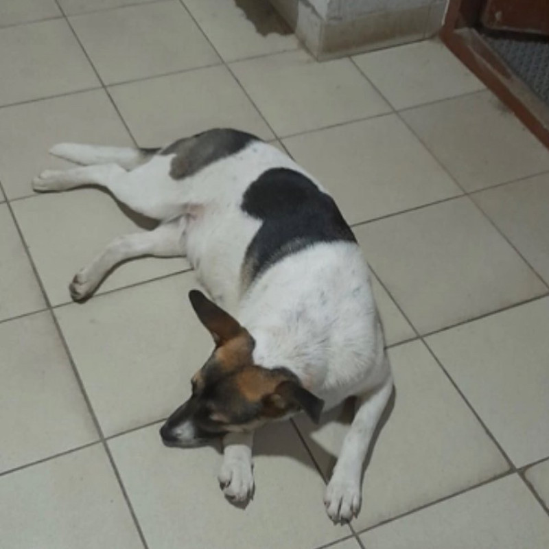 CDB90E5C-E143-444F-AC8E-602A98290457