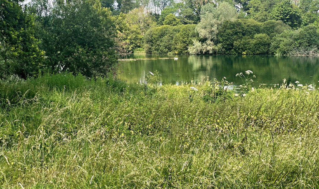 wood-lake-green-sw-an-HD.jpg