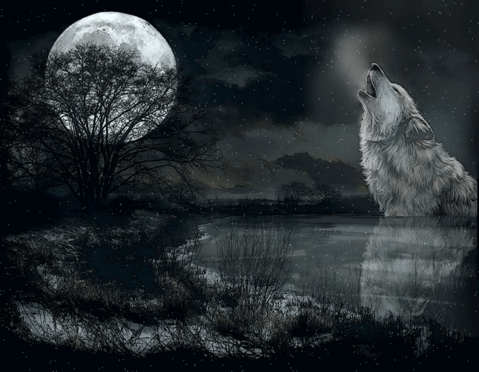howling-wolf-7