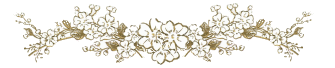 ky1h.gif