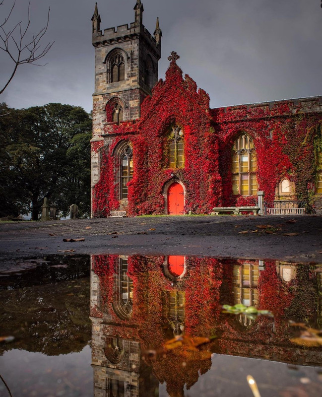 Screenshot_20231208_213630_Instagram