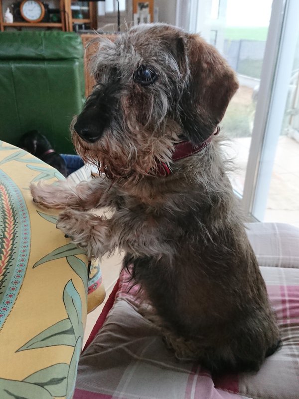 [Image: DSC-2123.jpg]