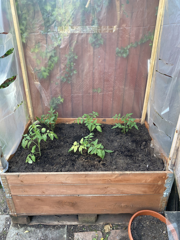 92770D07-D603-4715-B951-9420CF68D86B