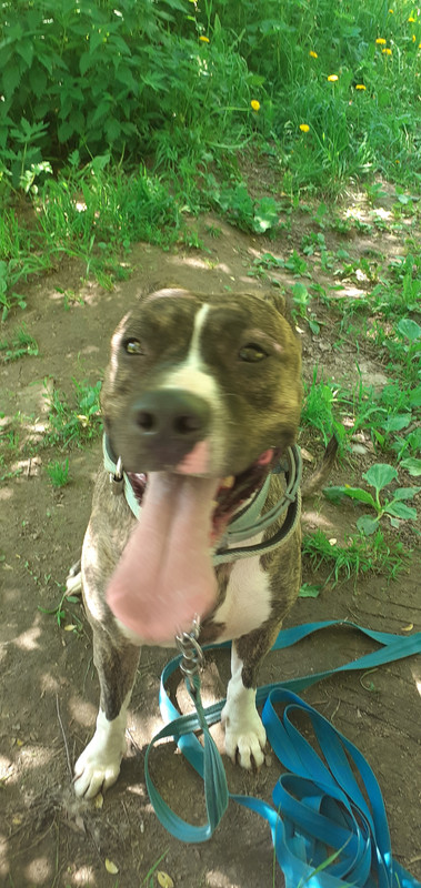 20240528_114608(0)[1]