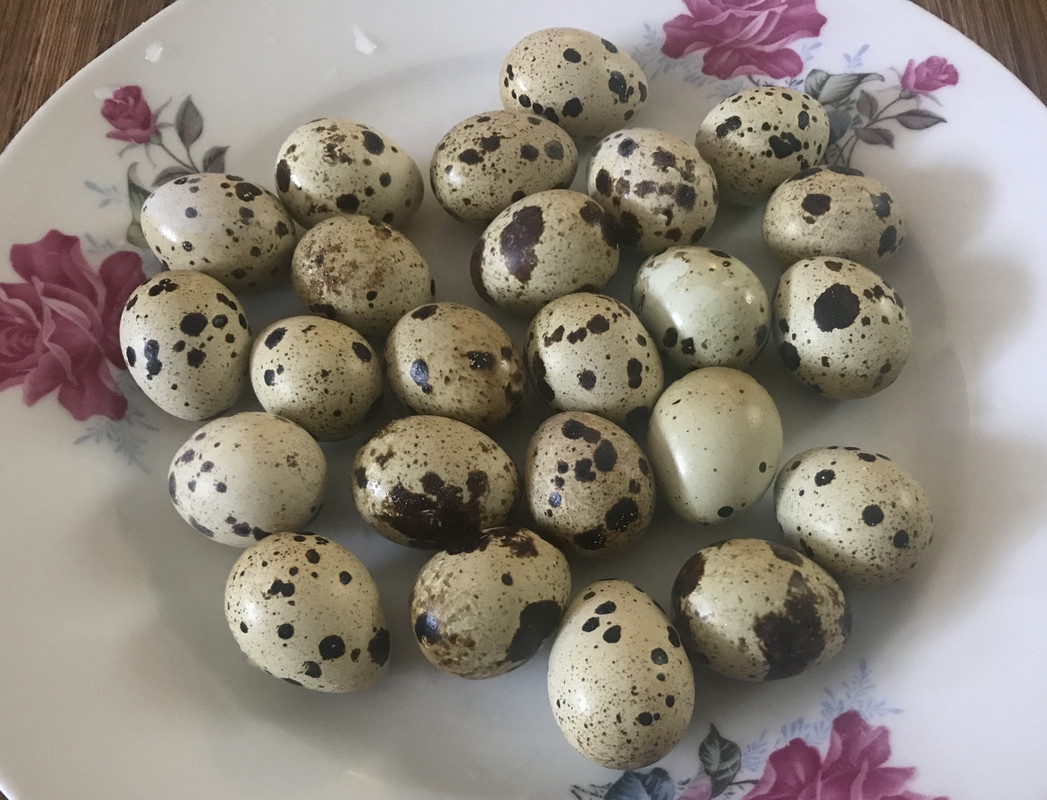 C2399DDE-4849-4379-A007-647F8E4FF24E