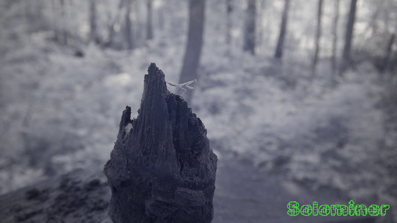 vlcsnap-2019-10-07-07h36m13s840.png