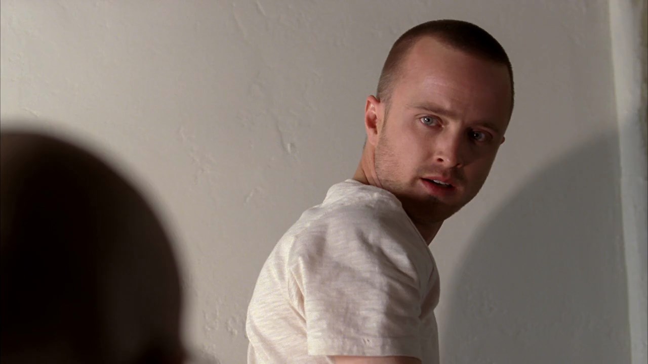 Breaking Bad (2011) Season 4 [Hindi + English] BluRay 480p 720p ESub - Complete Screenshot