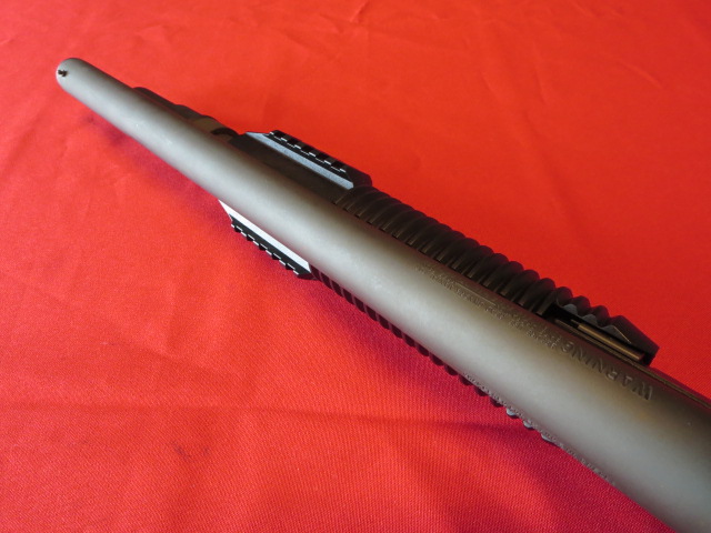 Waff-ank-Clearwater-022