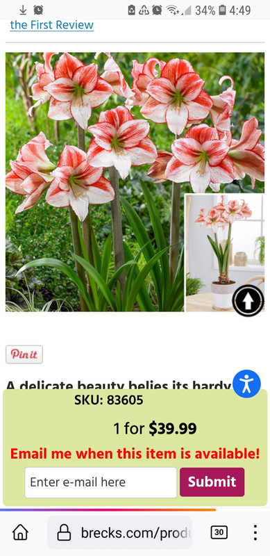 Screenshot_20230830-044940_Firefox