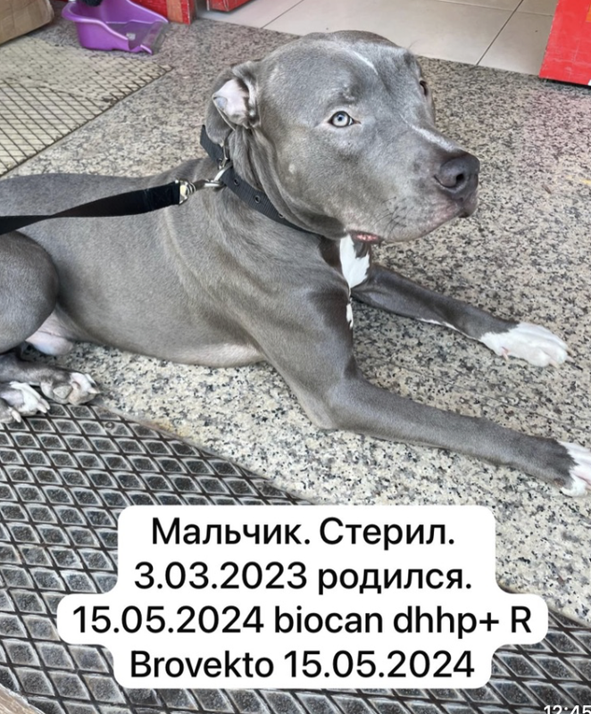 Снимок экрана 2024-06-02 в 14.37.15