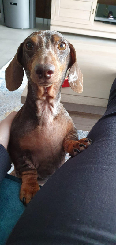 [Image: Microsoft-Teams-image-3.jpg]