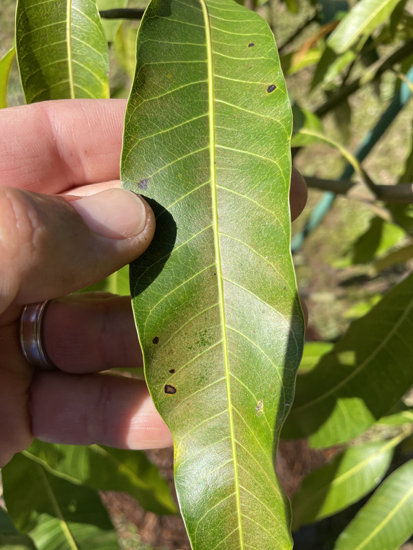 8B85D396-C0D3-4984-ADBD-5CF5B6E3FD94