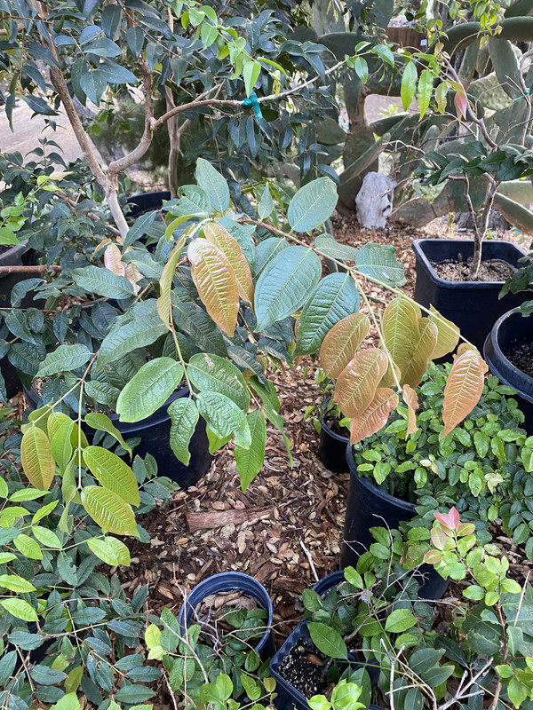 46090E37-DE25-4EA6-B134-23AD1C7F913A