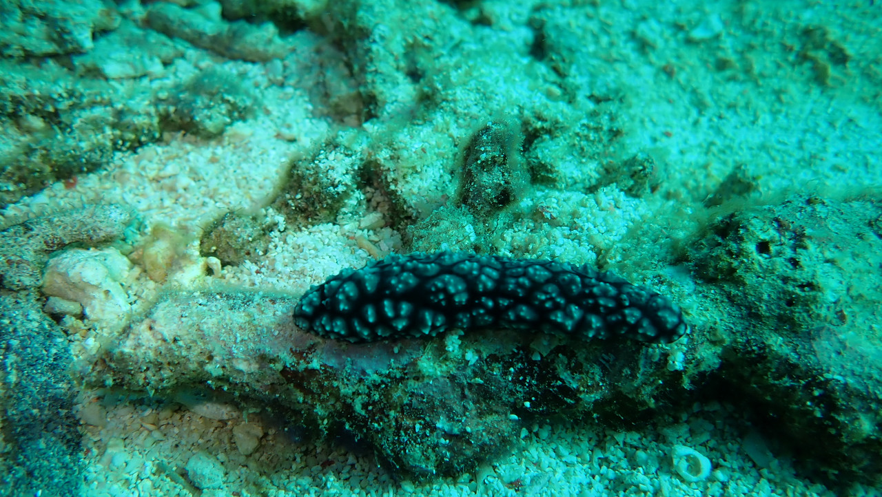 16B79B90-CB21-4D63-967F-3BC5EA0F8888