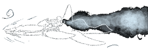Tiderider-Saddle.gif