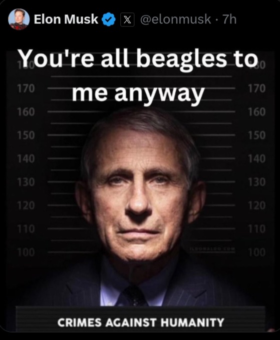 [Image: Biggu.jpg]
