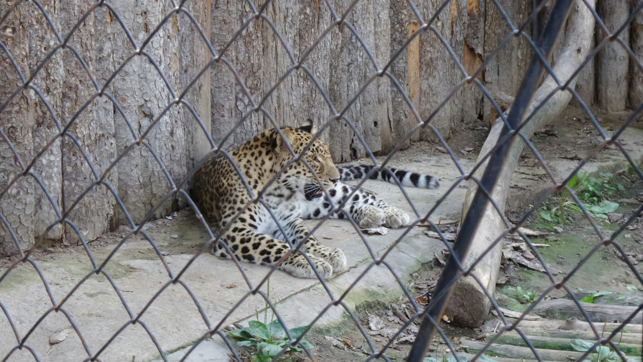 20150816-055407