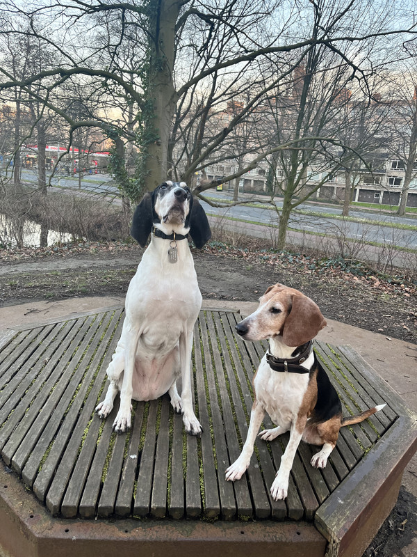 E89DBB04-0F75-4253-AC7E-08FD3A322368