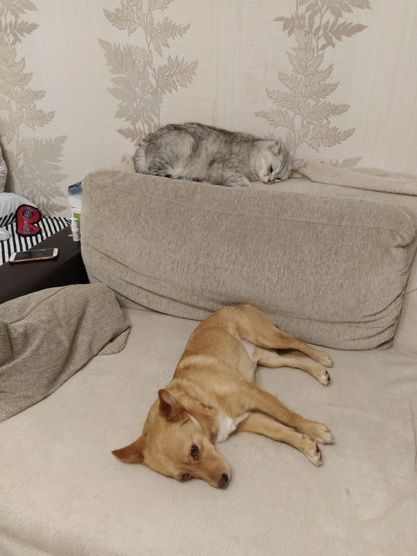 IMG-0afcaa1e7cf2a75d0ebcba7d5647fcdc-V