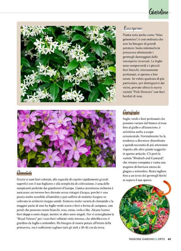 Pass Giar e Orto Giu 2025 (2)