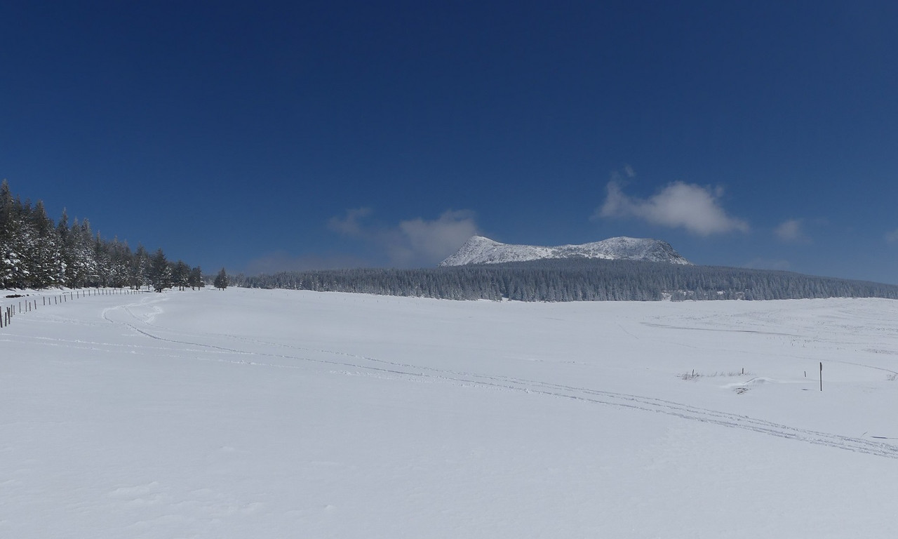 P1080516.jpg