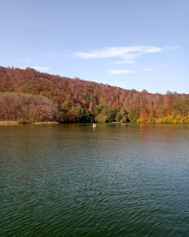 IMG-20211016-211045.jpg