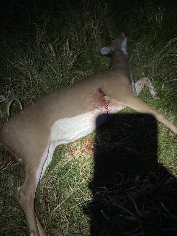 7981B505-0E36-44D2-859E-9EBAF6FF5F25