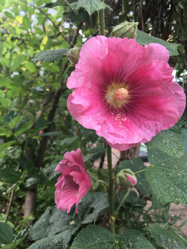 A71C2D98-395A-47E8-9A63-C0AD56F8C788