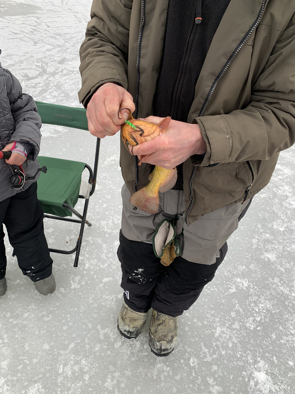 8C9EBE54-9C5F-40D7-9DD4-DEED6F46F257